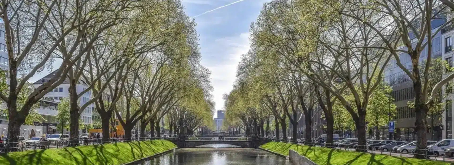 Perücken Düsseldorf Wellkamm