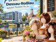 Perücken in Dessau-Roßlau am Fluss